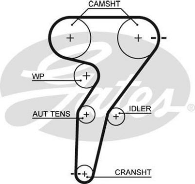 GATES Ремень ГРМ ALFA ROMEO 1.8-2.0 95-05 (168x24) (7710579, 5429XS)