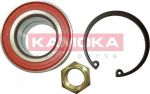 KAMOKA 5600020 комплект подшипника ступицы колеса на FORD FIESTA фургон (FVD)