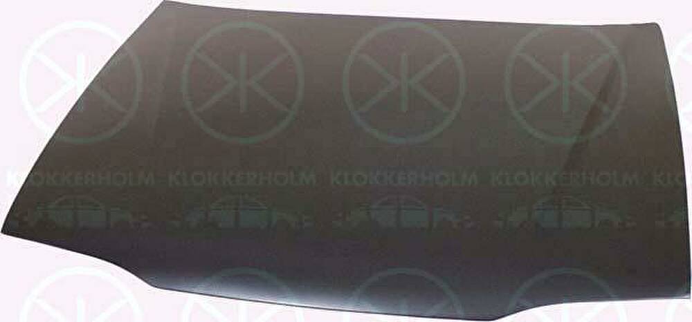 KLOKKERHOLM 6036281 капот двигателя на RENAULT 19 II (B/C53_)