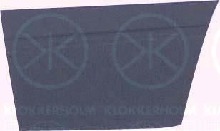 KLOKKERHOLM 9557121 дверь, кузов на VW TRANSPORTER III автобус
