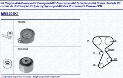 Magneti Marelli 341312011101 комплект ремня грм на FIAT BRAVA (182)