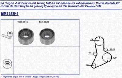 Magneti Marelli 341314521101 комплект ремня грм на FIAT DUCATO фургон (290)