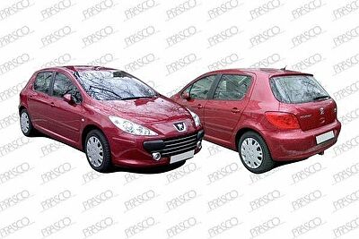 Prasco PG4222011 решетка радиатора на PEUGEOT 307 Break (3E)