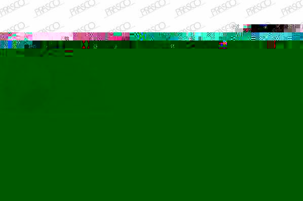 Prasco VV0404014 фонарь указателя поворота на VOLVO V70 I (LV)