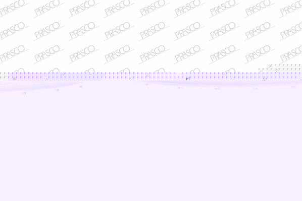 Prasco VW0231801 спойлер на VW POLO (6R, 6C)