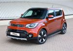 RIVAL RIVAL A173ALP.2804.1 Порог-площадка 