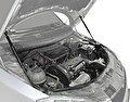 RIVAL RIVAL A.ST.5101.1 Амортизаторы капота RIVAL (2 шт.) Skoda Fabia / Roomster 2007-/2006- (A.ST.5101.1)