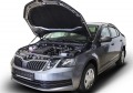 RIVAL RIVAL A.ST.5105.1 Амортизаторы капота RIVAL (2 шт.) Skoda Octavia A7 2013- (A.ST.5105.1) RIVAL RIVAL A.ST.5105.1 Амортизаторы капота RIVAL (2 шт.) Skoda Octavia A7 2013- (A.ST.5105.1)