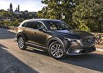 RIVAL RIVAL D193AL.3803.1 Порог-площадка 