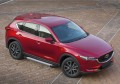 RIVAL RIVAL F173AL.3802.1 Порог-площадка RIVAL RIVAL F173AL.3802.1 Порог-площадка