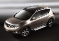 RIVAL RIVAL F173AL.4108.2 Порог-площадка RIVAL RIVAL F173AL.4108.2 Порог-площадка