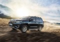 RIVAL RIVAL R.5704.016 Защита штатного порога d42 + комплект крепежа, RIVAL, Toyota Land Cruiser Prado 2009-2013-2017- (R.5704.016)