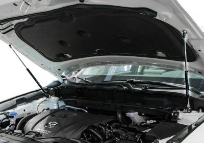 RIVAL RIVAL UMACX5021 Амортизаторы капота АвтоУПОР (2 шт.) Mazda CX-5 (2011-2016; 2017- ) (UMACX5021)
