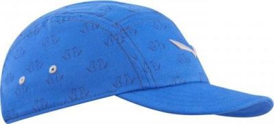 Бейсболка Salewa 2016 FANES CO K CAP royal blue (US:M/53)