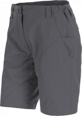 Шорты для активного отдыха Salewa 2016 FANES SEURA 2 DRY W SHORTS magnet (EUR:42/36)