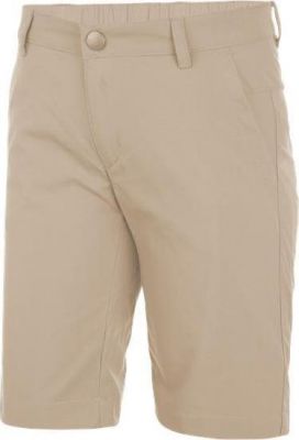 Шорты для активного отдыха Salewa 2017 FANES DRY K SHORTS pale khaki (Рост:152)