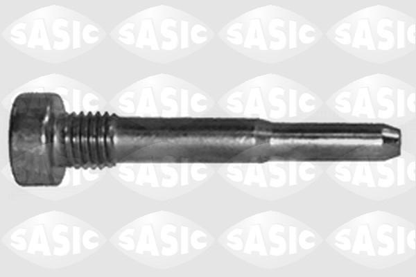 Sasic 0449349 Болт PEUGEOT/CITROEN петли двери