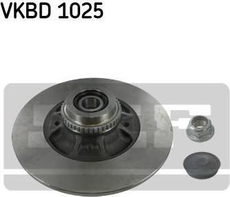 SKF VKBD 1025 тормозной диск на RENAULT MEGANE I Cabriolet (EA0/1_)