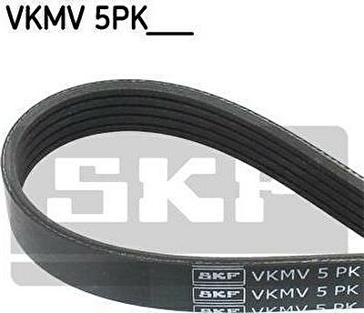 SKF VKMV 5PK1152 поликлиновой ремень на FIAT PUNTO (188)