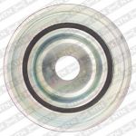 SNR DPF359.17K1 Шкив коленвала FORD MONDEO/GALAXY/S-MAX/VOLVO S40 2.0D 04-