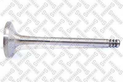 Stellox 01-24112-SX выпускной клапан на VW GOLF IV (1J1)