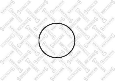 Stellox 81-65047-SX прокладка, выпускной коллектор на DAF F 2800