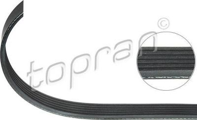 Topran 100 342 поликлиновой ремень на SKODA OCTAVIA (1Z3)