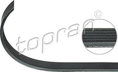 Topran 206 251 поликлиновой ремень на OPEL CORSA C (F08, F68)