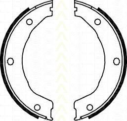 TRISCAN 8100 10030 комплект тормозных колодок, стояночная тормозная с на FORD ESCORT VII (GAL, AAL, ABL)