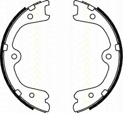 TRISCAN 8100 14009 комплект тормозных колодок, стояночная тормозная с на NISSAN GT-R (R35)