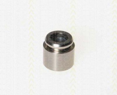 TRISCAN 8170 233029 поршень, корпус скобы тормоза на JAGUAR S-TYPE (CCX)