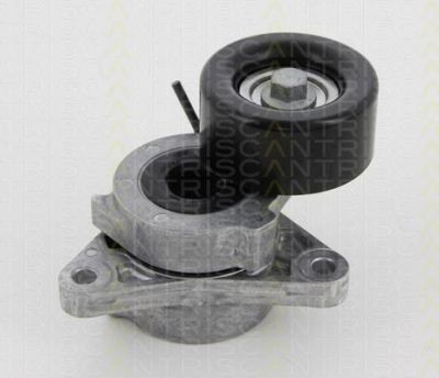 TRISCAN 8641 143003 натяжной ролик, поликлиновой ремень на INFINITI EX