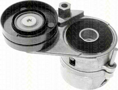 TRISCAN 8641 293008 натяжная планка, поликлиновой ремень на AUDI A6 Avant (4B5, C5)