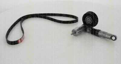 TRISCAN 8642 29006 поликлиновой ременный комплект на SKODA SUPERB (3U4)