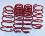 TRISCAN 8755 29005 комплект ходовой части, пружины на VW PASSAT Variant (3A5, 35I)