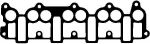 Victor Reinz 71-36121-00 прокладка, впускной коллектор на SKODA OCTAVIA Combi (1Z5)
