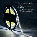 LAMPER 141-395 Лента светодиодная 12В, SMD2835, 9,6 Вт/м, 120 LED/м, 6500K, 8мм, 5м, IP20 LAMPER LAMPER 141-395 Лента светодиодная 12В, SMD2835, 9,6 Вт/м, 120 LED/м, 6500K, 8мм, 5м, IP20 LAMPER