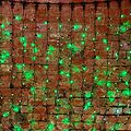 NEON-NIGHT 235-124 Гирлянда светодиодная Занавес 2х1,5м 360 LED ЗЕЛЕНЫЙ зеленый ПВХ IP54 постоянное свечение 230В блок в комплекте NEON-NIGHT NEON-NIGHT 235-124 Гирлянда светодиодная Занавес 2х1,5м 360 LED ЗЕЛЕНЫЙ зеленый ПВХ IP54 постоянное свечение 230В блок в комплекте NEON-NIGHT