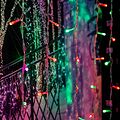 NEON-NIGHT 235-349 Гирлянда светодиодная Занавес 2х2м 200 LED RGB прозрачный ПВХ IP65 свечение с динамикой 230В блок в комплекте NEON-NIGHT NEON-NIGHT 235-349 Гирлянда светодиодная Занавес 2х2м 200 LED RGB прозрачный ПВХ IP65 свечение с динамикой 230В блок в комплекте NEON-NIGHT