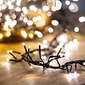 NEON-NIGHT 303-626 Гирлянда Кластер LED 3 м, темно-зеленый ПВХ IP20, 288 диодов, цвет теплый белый NEON-NIGHT 303-626 Гирлянда Кластер LED 3 м, темно-зеленый ПВХ IP20, 288 диодов, цвет теплый белый