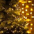 NEON-NIGHT 303-626 Гирлянда Кластер LED 3 м, темно-зеленый ПВХ IP20, 288 диодов, цвет теплый белый NEON-NIGHT 303-626 Гирлянда Кластер LED 3 м, темно-зеленый ПВХ IP20, 288 диодов, цвет теплый белый