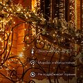 NEON-NIGHT 315-195 Гирлянда светодиодная Нить 10м 200 LED БЕЛЫЙ черный каучук IP67 эффект мерцания 230В соединяется нужен блок 315-000 NEON-NIGHT NEON-NIGHT 315-195 Гирлянда светодиодная Нить 10м 200 LED БЕЛЫЙ черный каучук IP67 эффект мерцания 230В соединяется нужен блок 315-000 NEON-NIGHT