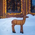 NEON-NIGHT 513-305 Акриловая светодиодная фигура Бурый олень 100 см, 380 светодиодов, IP 65, понижающий трансформатор в комплекте, NEON-NIGHT