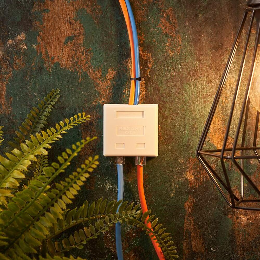 REXANT 03-0120 Розетка комбинированная внешняя, UTP RJ-45(8P8C) + RJ-11(6P-4C) REXANT 