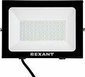 REXANT 605-018 Прожектор цветного свечения (зеленый) 100Вт REXANT REXANT 605-018 Прожектор цветного свечения (зеленый) 100Вт REXANT