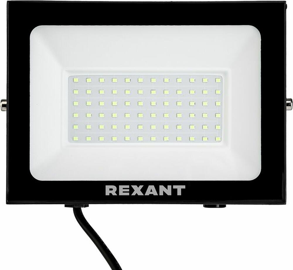 REXANT 605-018 Прожектор цветного свечения (зеленый) 100Вт REXANT