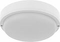 REXANT 607-286 Светильник ЖКХ LED пылевлагозащищенный круг IP65 30Вт 2850Лм 6500K с микроволновым датчиком движения REXANT