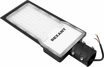 REXANT 607-303 Светильник светодиодный консольный ДКУ 02 100Вт 5000К для дорог IP65 10000Лм черный REXANT