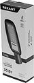 REXANT 607-306 Светильник светодиодный консольный ДКУ 03-30-5000К-Ш-C IP65 черный REXANT