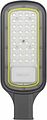 REXANT 607-307 Светильник светодиодный консольный ДКУ 03-50-5000К-Ш-C IP65 черный REXANT